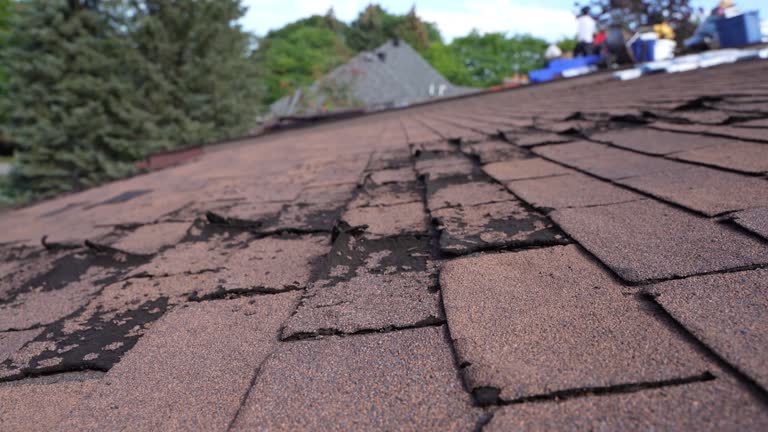 Best Steel Roofing  in Zephyrhills West, FL