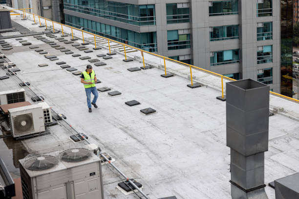Roof Coating Services in Zephyrhills West, FL