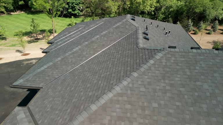 Best Skylight Installation and Repair  in Zephyrhills West, FL