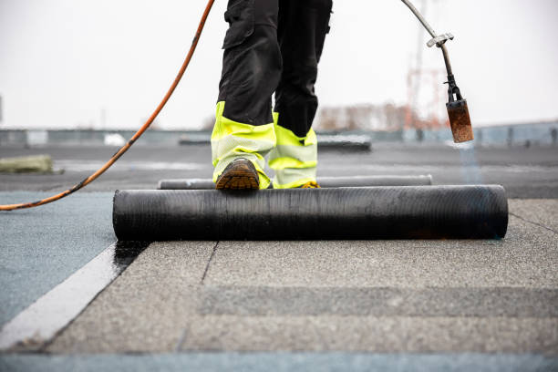 Best Chimney Flashing Repair  in Zephyrhills West, FL