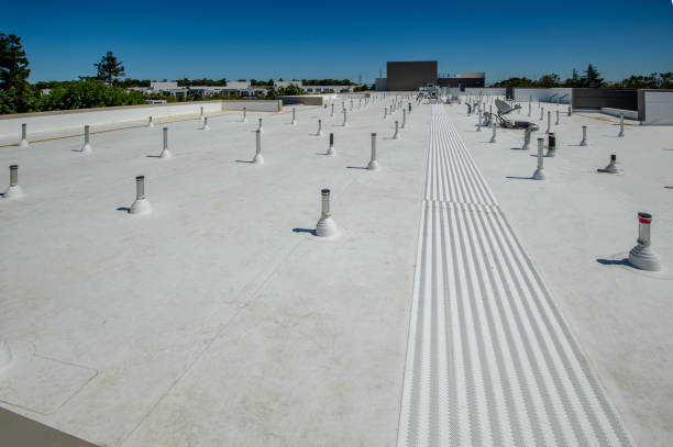 Best Asphalt Shingles Roofing  in Zephyrhills West, FL